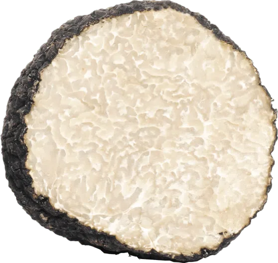 Mirko Tartufi | Tuber Aestivum Vittadini