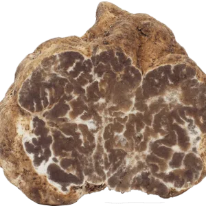 Tuber Borchii / Mirko Tartufi