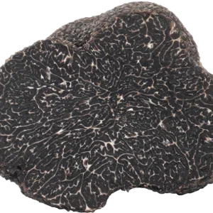 Mirko Tartufi | Tuber Melanosporum Vittadini