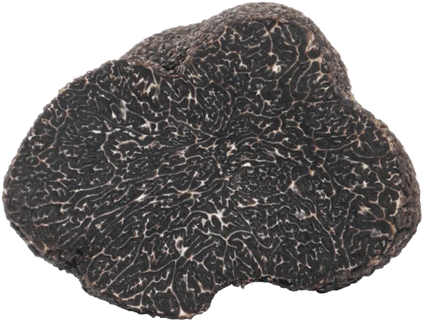 Mirko Tartufi | Tuber Melanosporum Vittadini