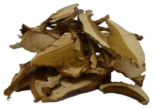 Mirko Tartufi | Porcini Secchi