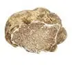 Olio al Tartufo bianco Tartufi Freschi Olio al Tartufo bianco Tartufi Freschi